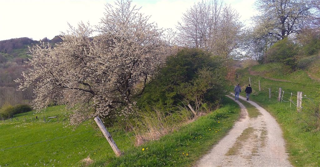 Trauerweg